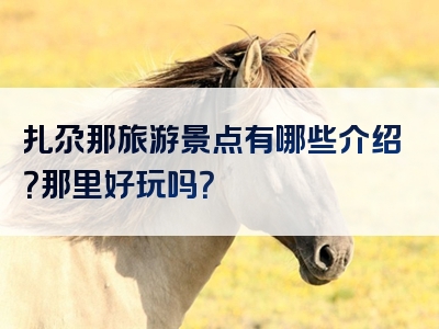 扎尕那旅游景点有哪些介绍？那里好玩吗？