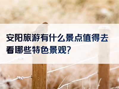 安阳旅游有什么景点值得去看哪些特色景观？