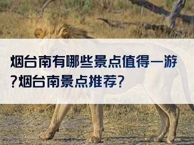 烟台南有哪些景点值得一游？烟台南景点推荐？