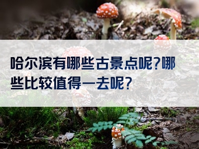 哈尔滨有哪些古景点呢？哪些比较值得一去呢？