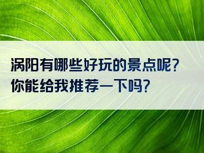 涡阳有哪些好玩的景点呢？你能给我推荐一下吗？