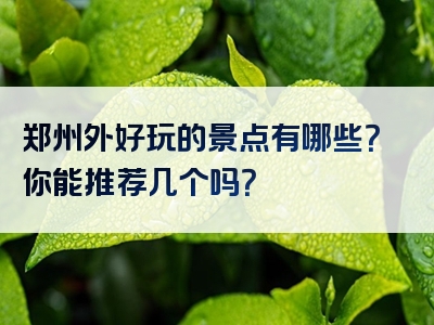 郑州外好玩的景点有哪些？你能推荐几个吗？