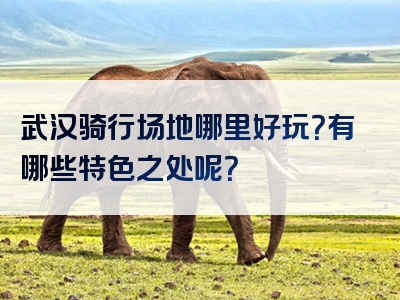 武汉骑行场地哪里好玩？有哪些特色之处呢？