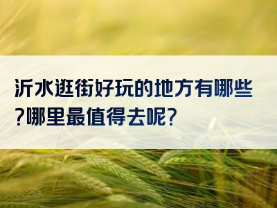 沂水逛街好玩的地方有哪些？哪里最值得去呢？