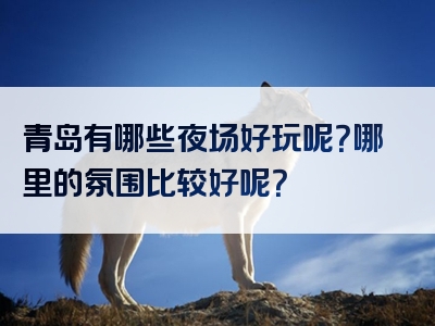 青岛有哪些夜场好玩呢？哪里的氛围比较好呢？