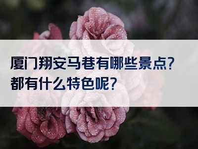 厦门翔安马巷有哪些景点？都有什么特色呢？