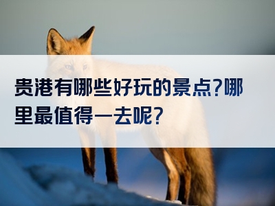 贵港有哪些好玩的景点？哪里最值得一去呢？