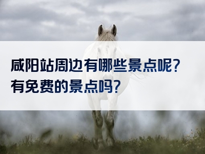 咸阳站周边有哪些景点呢？有免费的景点吗？