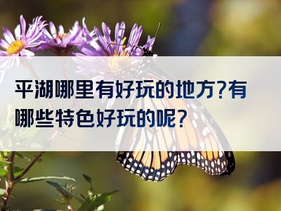 平湖哪里有好玩的地方？有哪些特色好玩的呢？