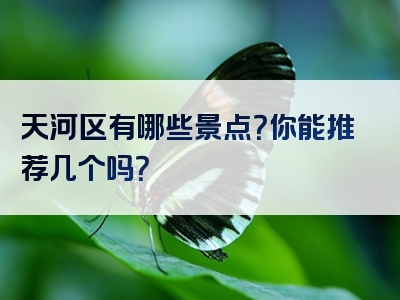 天河区有哪些景点？你能推荐几个吗？