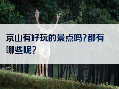 京山有好玩的景点吗？都有哪些呢？