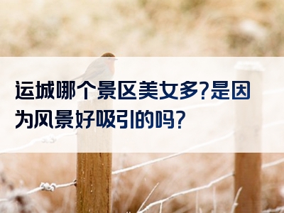 运城哪个景区美女多？是因为风景好吸引的吗？