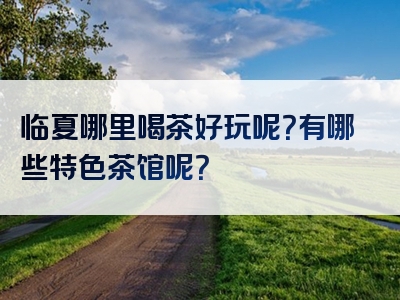 临夏哪里喝茶好玩呢？有哪些特色茶馆呢？