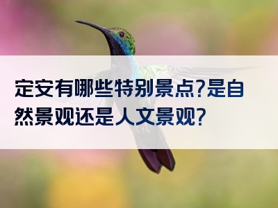 定安有哪些特别景点？是自然景观还是人文景观？