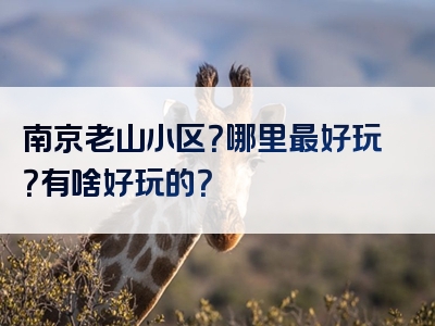 南京老山小区？哪里最好玩？有啥好玩的？