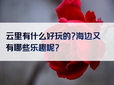 云里有什么好玩的？海边又有哪些乐趣呢？