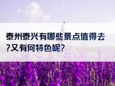 泰州泰兴有哪些景点值得去？又有何特色呢？