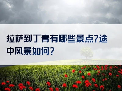 拉萨到丁青有哪些景点？途中风景如何？