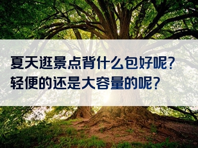 夏天逛景点背什么包好呢？轻便的还是大容量的呢？