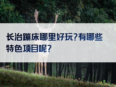 长治蹦床哪里好玩？有哪些特色项目呢？