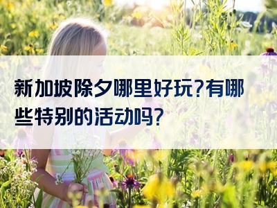 新加坡除夕哪里好玩？有哪些特别的活动吗？