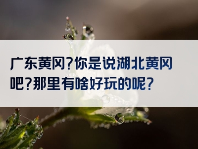 广东黄冈？你是说湖北黄冈吧？那里有啥好玩的呢？