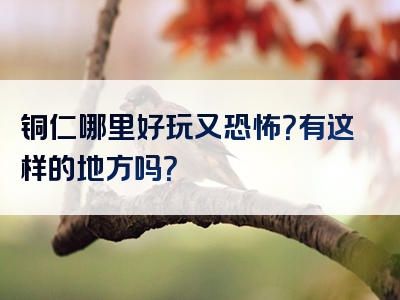 铜仁哪里好玩又恐怖？有这样的地方吗？