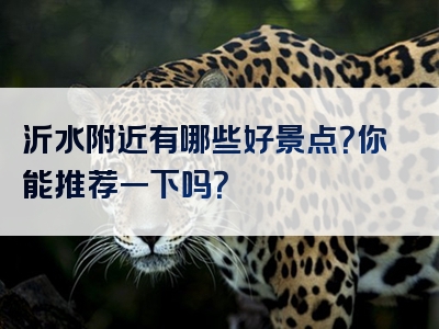 沂水附近有哪些好景点？你能推荐一下吗？