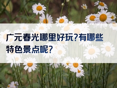 广元春光哪里好玩？有哪些特色景点呢？
