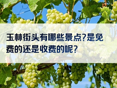 玉林街头有哪些景点？是免费的还是收费的呢？