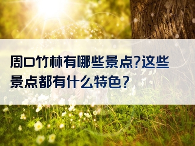 周口竹林有哪些景点？这些景点都有什么特色？