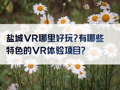 盐城VR哪里好玩？有哪些特色的VR体验项目？