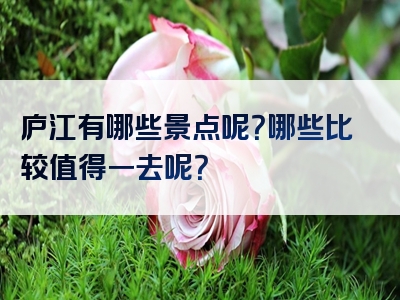 庐江有哪些景点呢？哪些比较值得一去呢？