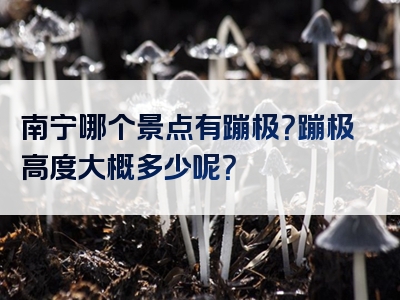 南宁哪个景点有蹦极？蹦极高度大概多少呢？