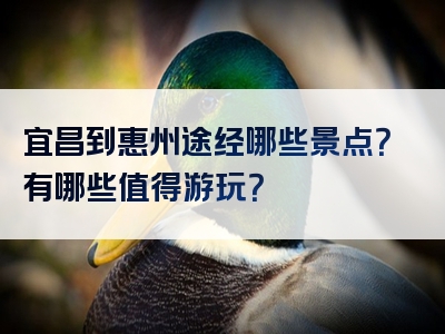 宜昌到惠州途经哪些景点？有哪些值得游玩？