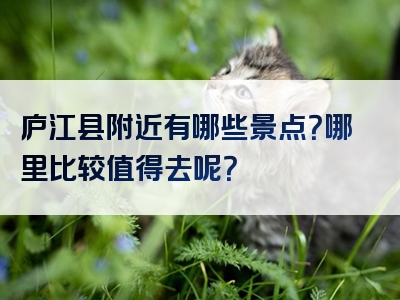 庐江县附近有哪些景点？哪里比较值得去呢？