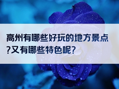 高州有哪些好玩的地方景点？又有哪些特色呢？