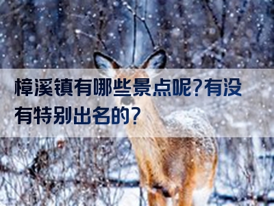 樟溪镇有哪些景点呢？有没有特别出名的？