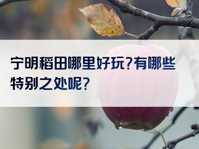 宁明稻田哪里好玩？有哪些特别之处呢？