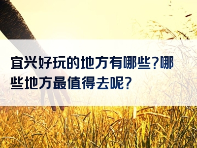 宜兴好玩的地方有哪些？哪些地方最值得去呢？