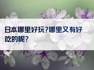 日本哪里好玩？哪里又有好吃的呢？