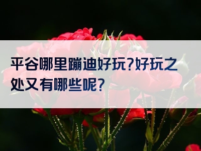 平谷哪里蹦迪好玩？好玩之处又有哪些呢？