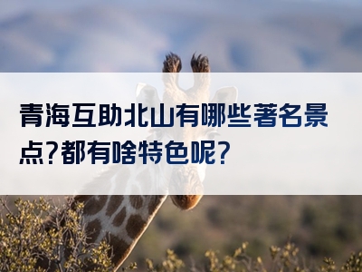 青海互助北山有哪些著名景点？都有啥特色呢？