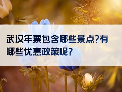武汉年票包含哪些景点？有哪些优惠政策呢？