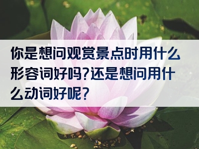 你是想问观赏景点时用什么形容词好吗？还是想问用什么动词好呢？