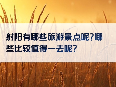 射阳有哪些旅游景点呢？哪些比较值得一去呢？
