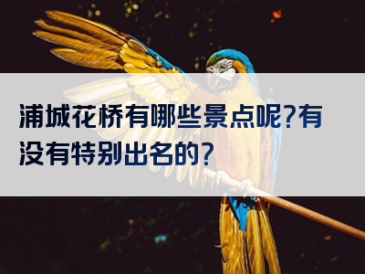 浦城花桥有哪些景点呢？有没有特别出名的？