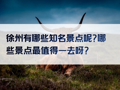 徐州有哪些知名景点呢？哪些景点最值得一去呀？