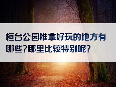 桓台公园推拿好玩的地方有哪些？哪里比较特别呢？