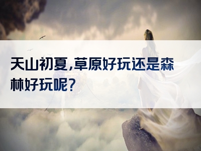 天山初夏，草原好玩还是森林好玩呢？